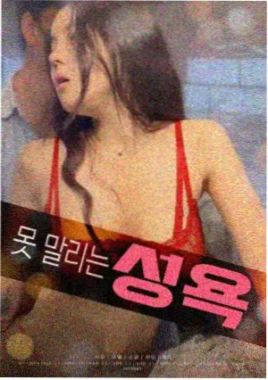 BL电影白桦林之夏海报